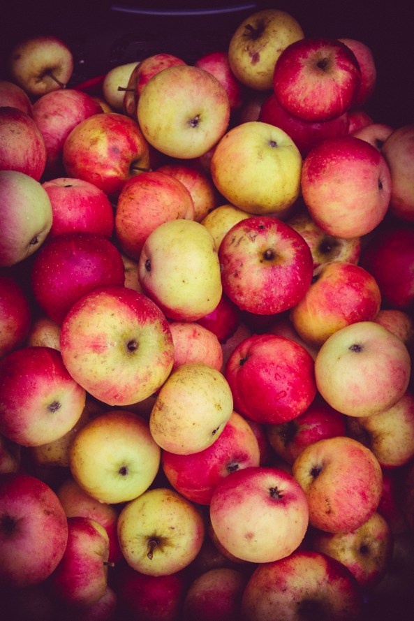 hessle ceilidh band (1 of 20)