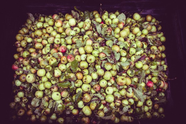 hessle ceilidh band (2 of 20) - Copy